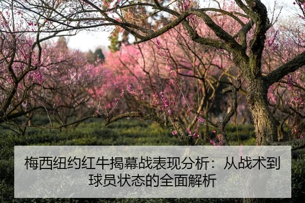 梅西纽约红牛揭幕战表现分析：从战术到球员状态的全面解析